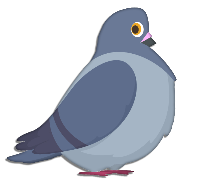 The Amorous Pigeon